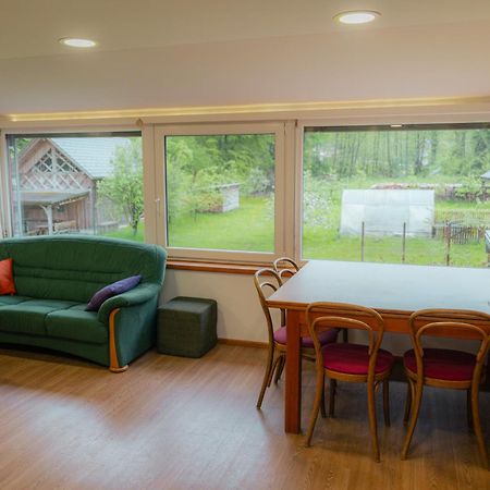 Country Retreat, Near Ljubljana City, Apartma Na Vasi, Blizu Mesta Ljubljana Apartman Medvode Kültér fotó