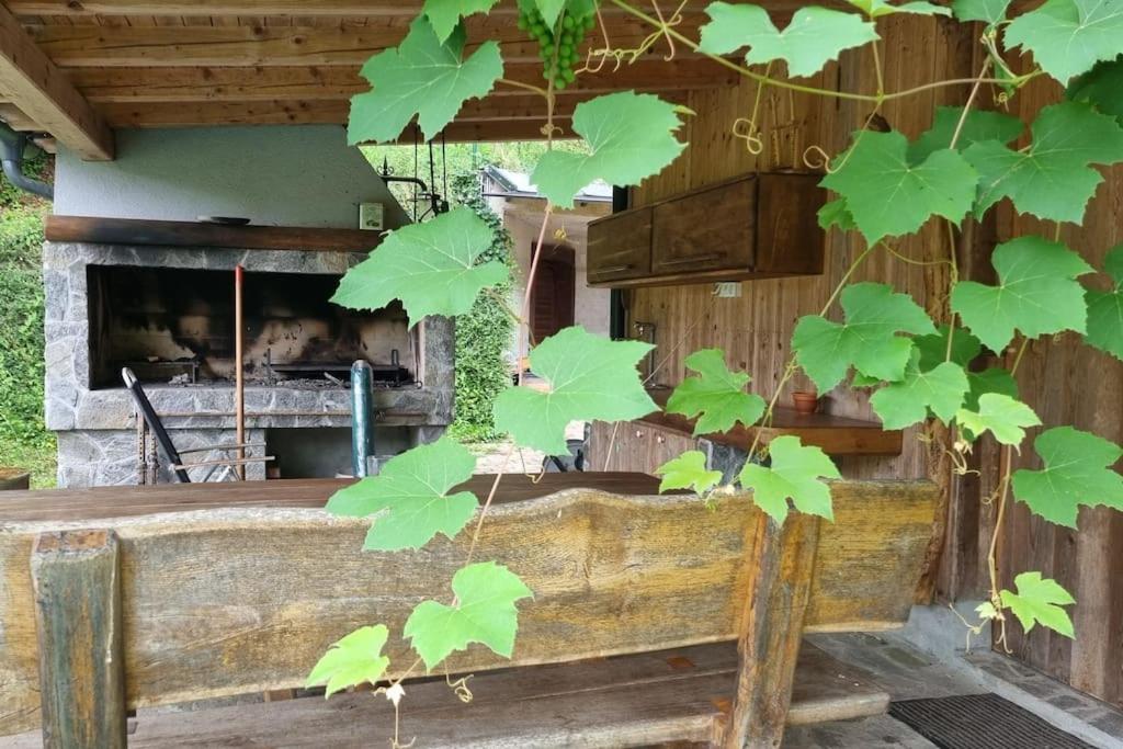 Country Retreat, Near Ljubljana City, Apartma Na Vasi, Blizu Mesta Ljubljana Apartman Medvode Kültér fotó